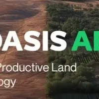 ニポティカとNEEI