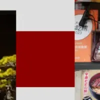 GF Academyの取り組み