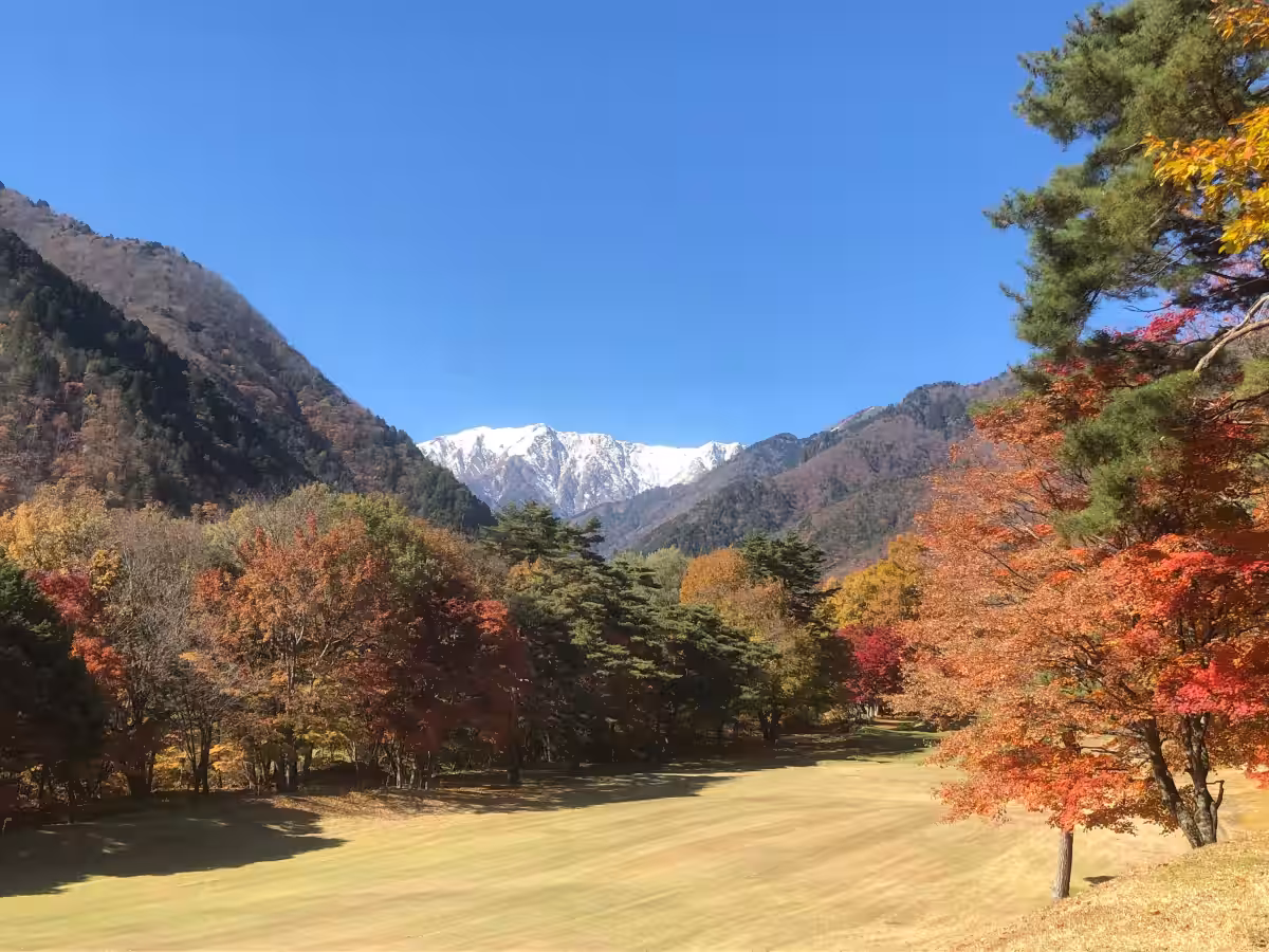 画像9
