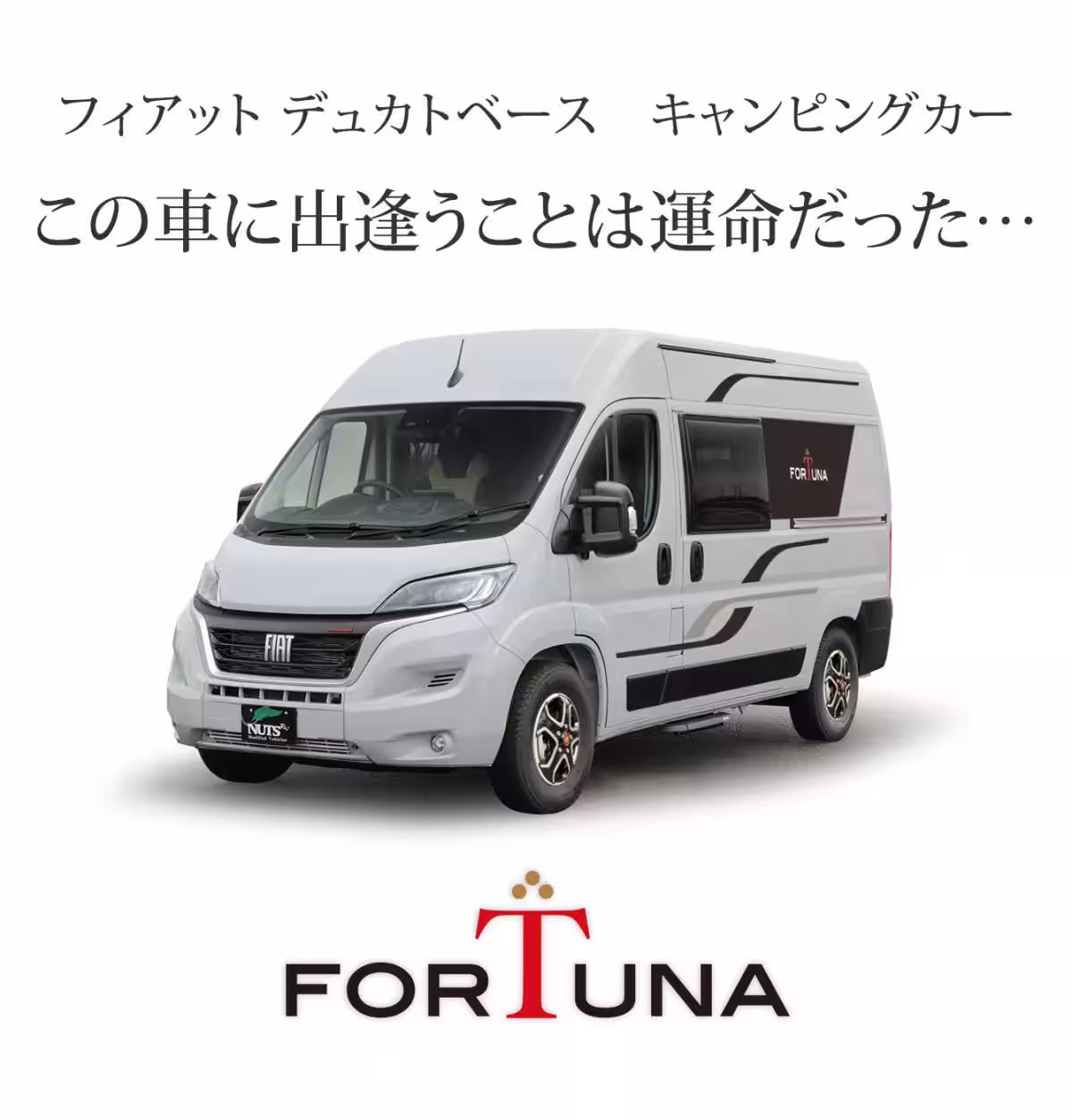 画像11