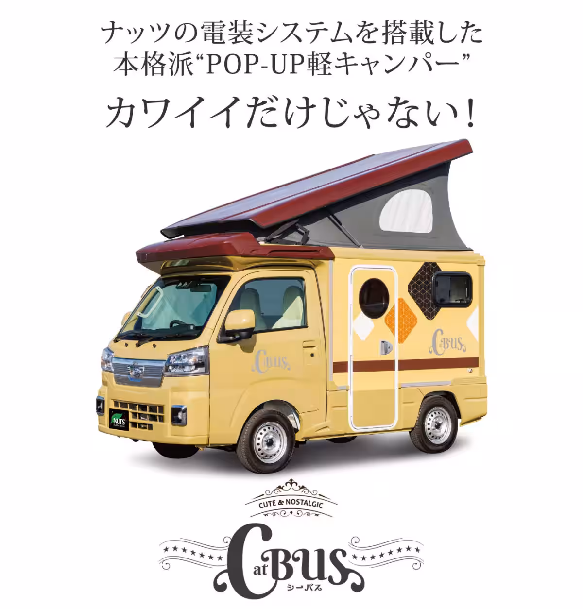 画像19
