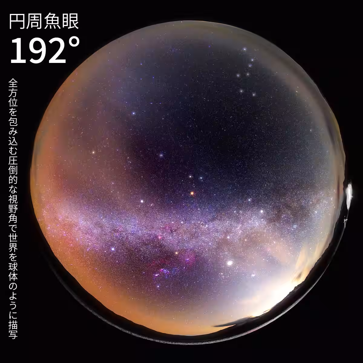 画像16