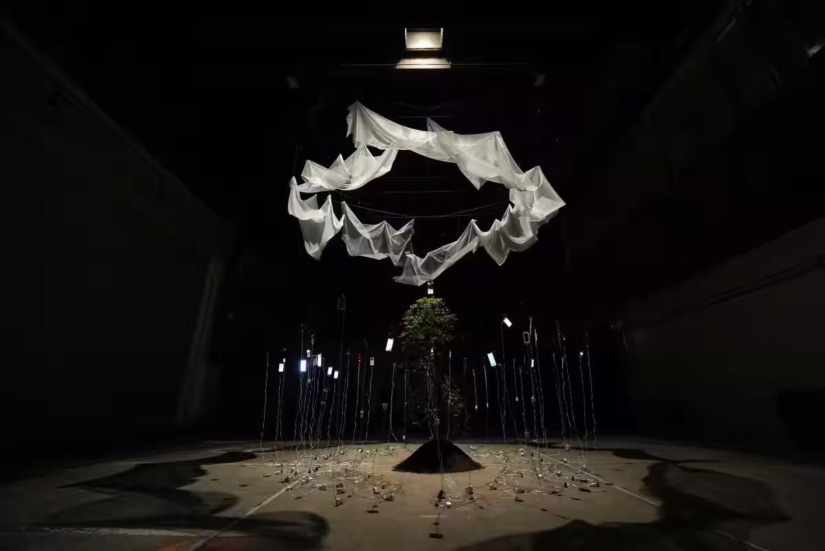 画像11