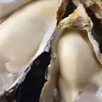 オイスターバー虎ノ門新店