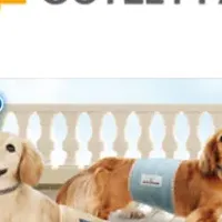 わんことお出かけ！