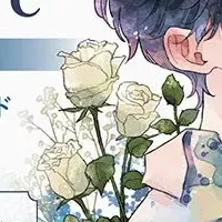 しちみ先生のキャンペーン