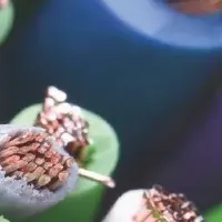 三洋貿易の出展情報