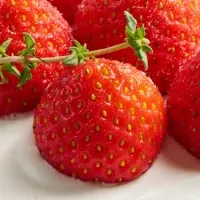 沖縄ヒルトンのクリスマス