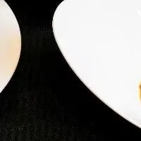 バイオ炭と環境保護