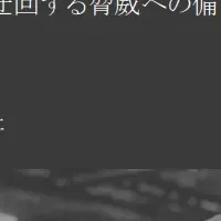 BarrierCrackが公開した資料