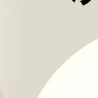 新ヘアブラシ登場