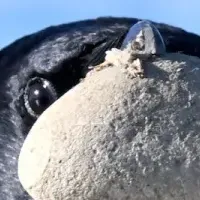 フォトコンテスト開催