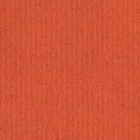 きんきんパンダの冒険