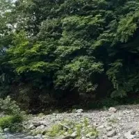 テントサウナ支援