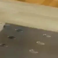 科学で体力測定