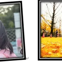 遊び場投稿キャンペーン