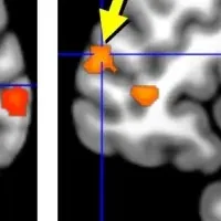 五感を刺激するデザイン