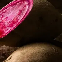 新ブランド『ミツロ』登場