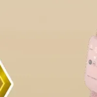 ふくらはぎゅの受賞