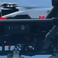 犬猫の安全対策