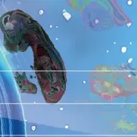 STOmics助成プログラム