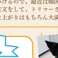 ペッツトウキョウ新聞11月号