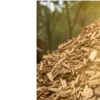 タイでのバイオ炭開発