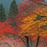 秋のグランピングの魅力