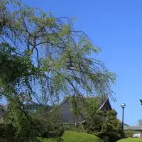 心を磨く大掃除