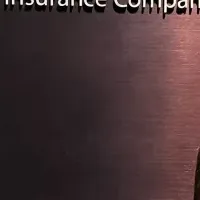 第一生命の新戦略