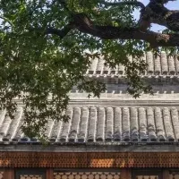 北京の誇り、世界のベストに