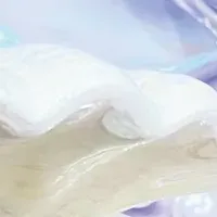 新メニュー情報