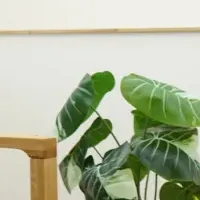 新サービスで集客変革