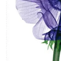 パナソニックのカレンダー