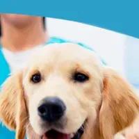 ASTRAVETが日本上陸