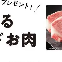 お肉が当たる！