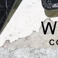 WILDSWANS新作発表