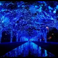 青の洞窟 SHIBUYA