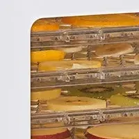 新型フードドライヤー