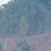 阪和興業とNGO問題