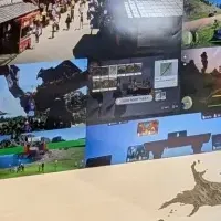 『竜宮国』がヒット予測に