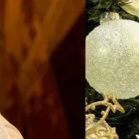 特別なクリスマスディナー