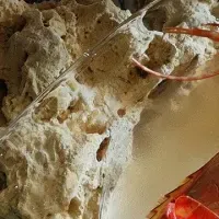 冬の島テロワール