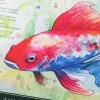 ファーバーカステル新セット