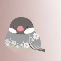 名入れギフトの小鳥マグ