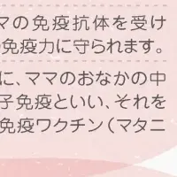 赤ちゃんを守る新施策