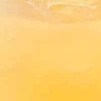 ホリデー限定ドリンク登場