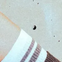 新登場の登山靴