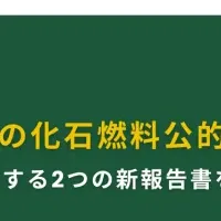 LNG転売とJBICの影響