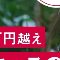 中国市場の秘密